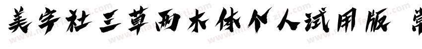 美字社三草两木体个人试用版 常规体字体转换